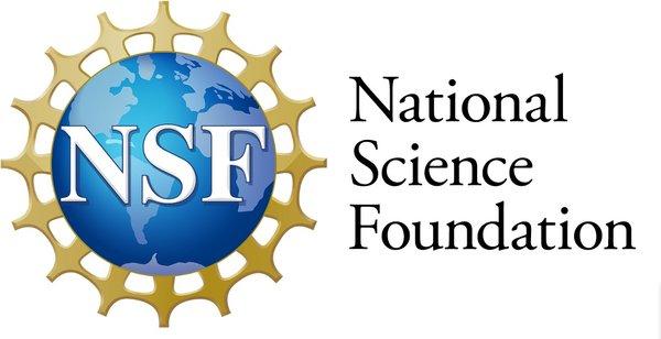 NSF logo