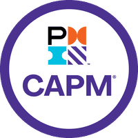 Project Management Institute logo